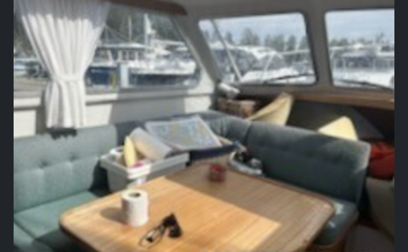 Flying Albatross 871-kuva-5